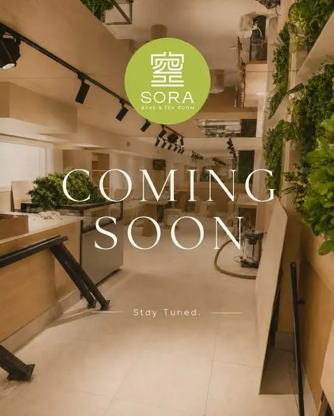 Sora Bake & Tea Room cafe interior with light wood counters and living wall
